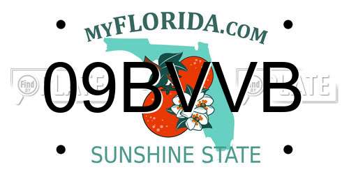 09BVVB Florida License Plate
