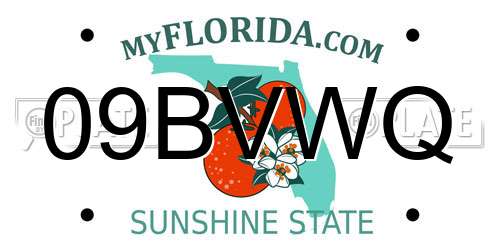 09BVWQ Florida License Plate
