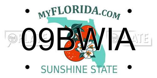 09BWIA Florida License Plate