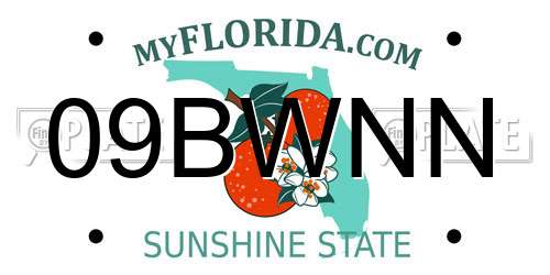 09BWNN Florida License Plate