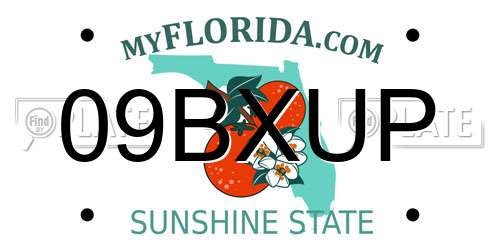 09BXUP Florida License Plate