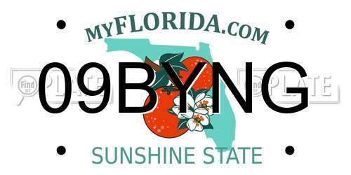 09BYNG Florida License Plate
