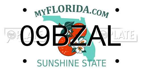 09BZAL Florida License Plate