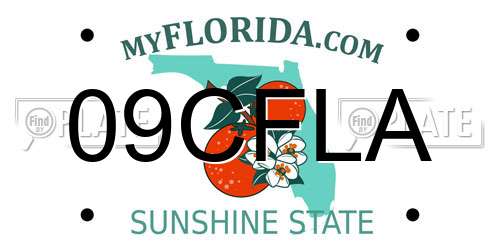 09CFLA Florida License Plate