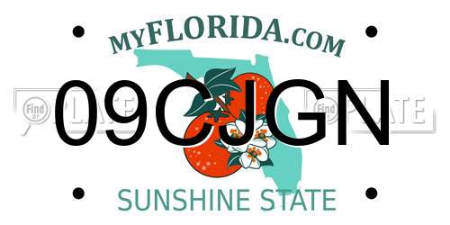 09CJGN Florida License Plate