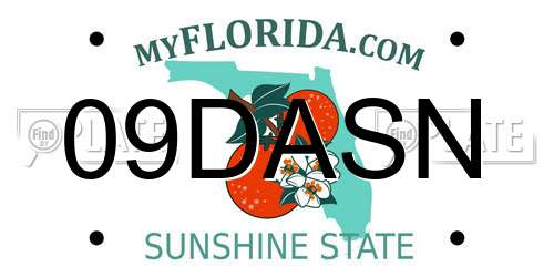 09DASN Florida License Plate