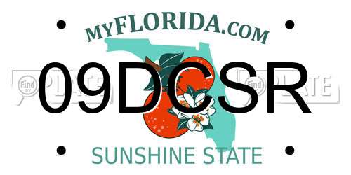 09DCSR Florida License Plate