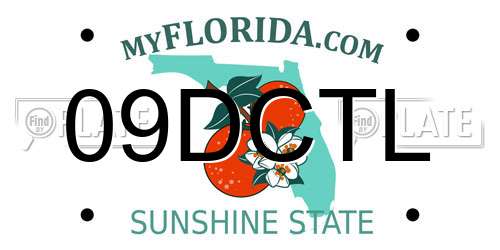 09DCTL Florida License Plate