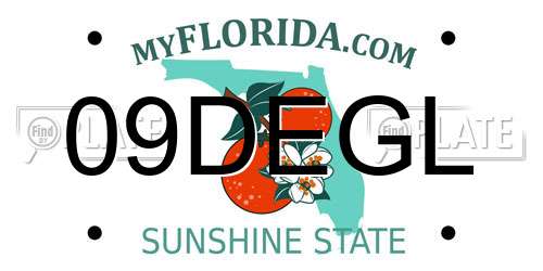 09DEGL Florida License Plate