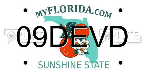 09DEVD Florida License Plate