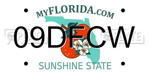 09DFCW Florida License Plate