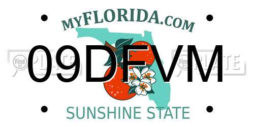 09DFVM Florida License Plate