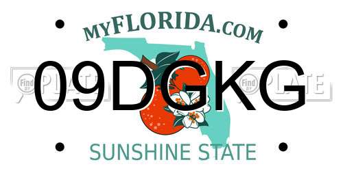 09DGKG Florida License Plate