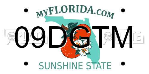 09DGTM Florida License Plate