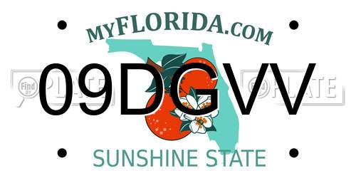 09DGVV Florida License Plate