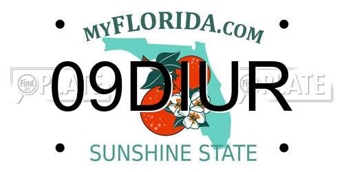 09DIUR Florida License Plate