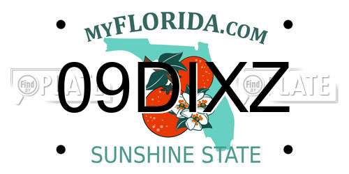 09DIXZ Florida License Plate