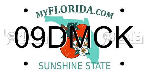 09DMCK Florida License Plate