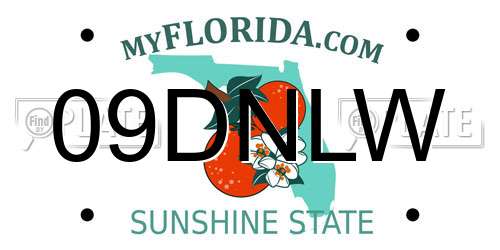 09DNLW Florida License Plate