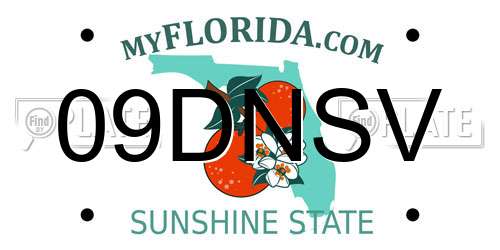 09DNSV Florida License Plate