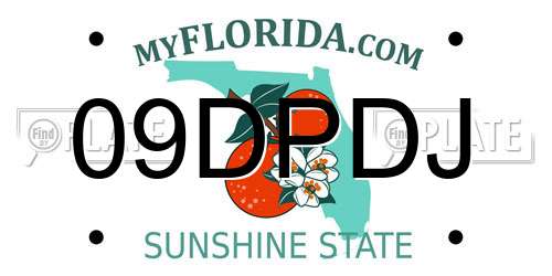 09DPDJ Florida License Plate