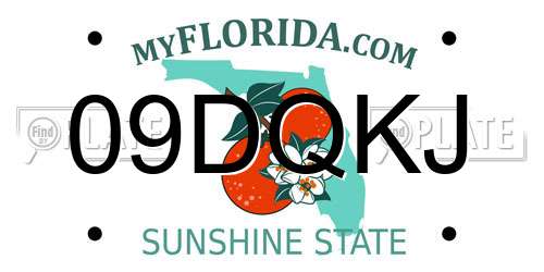 09DQKJ Florida License Plate