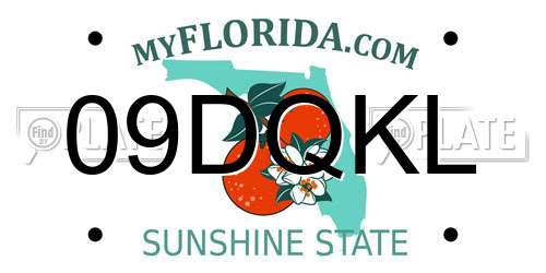 09DQKL Florida License Plate