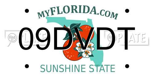 09DVDT Florida License Plate