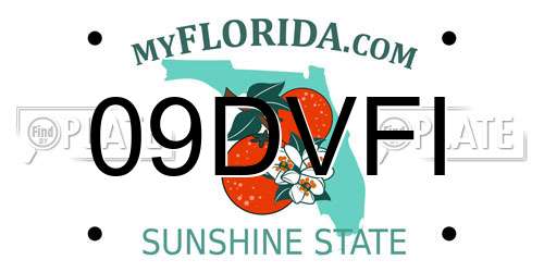 09DVFI Florida License Plate