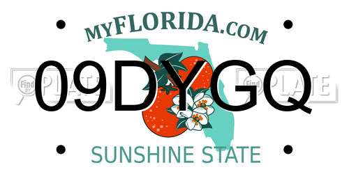 09DYGQ Florida License Plate