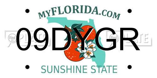 09DYGR Florida License Plate