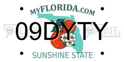 09DYTY Florida License Plate