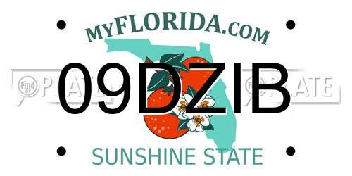 09DZIB Florida License Plate