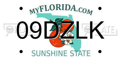09DZLK Florida License Plate