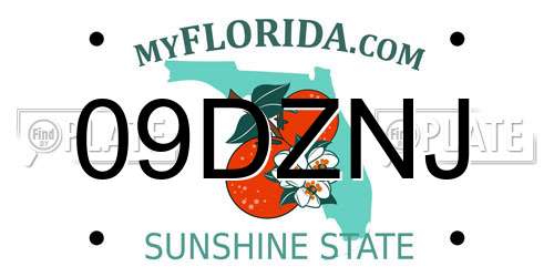 09DZNJ Florida License Plate