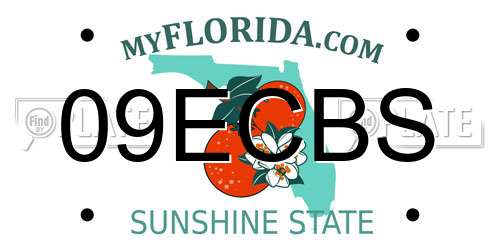 09ECBS Florida License Plate