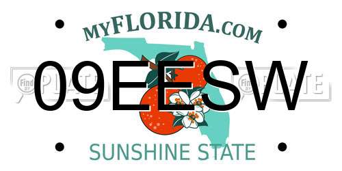 09EESW Florida License Plate