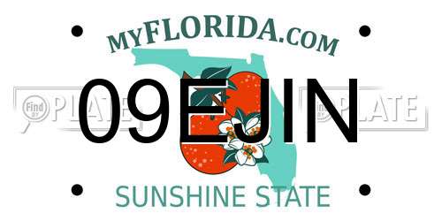 09EJIN Florida License Plate
