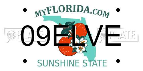 09ELVE Florida License Plate