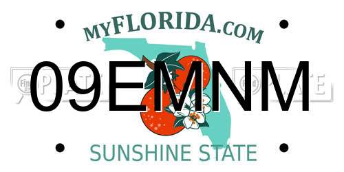 09EMNM Florida License Plate