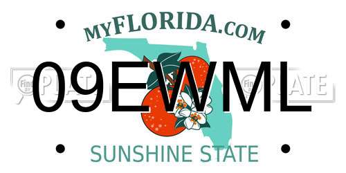 09EWML Florida License Plate