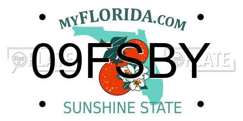 09FSBY Florida License Plate