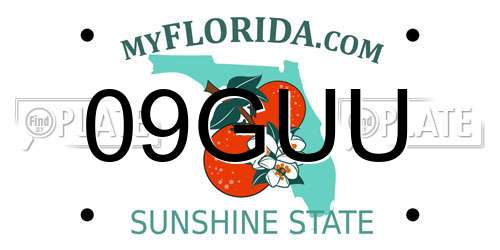 09GUU Florida License Plate