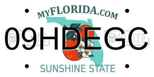 09HDEGC Florida License Plate