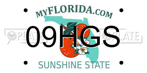 09HGS Florida License Plate