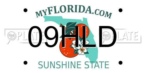 09HLD Florida License Plate