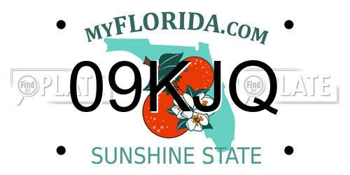 09KJQ Florida License Plate