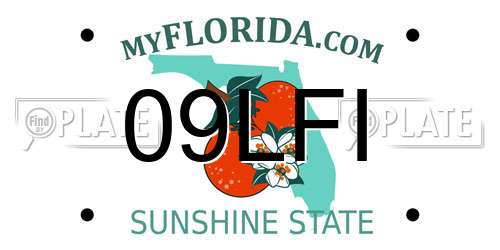 09LFI Florida License Plate