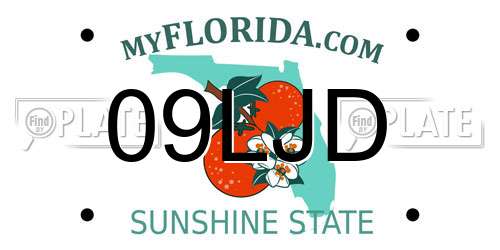 09LJD Florida License Plate