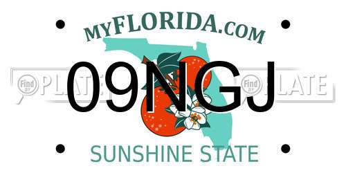 09NGJ Florida License Plate